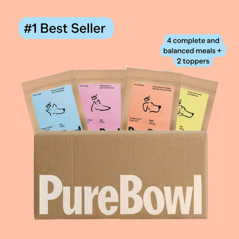 Purebowl Starter Pack