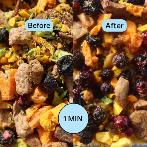 Purebowl Starter Pack