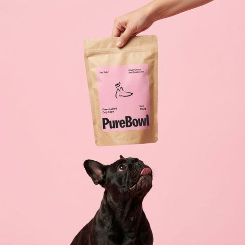 Convenient & Stress-Free Pet Food Delivery in New Zealand