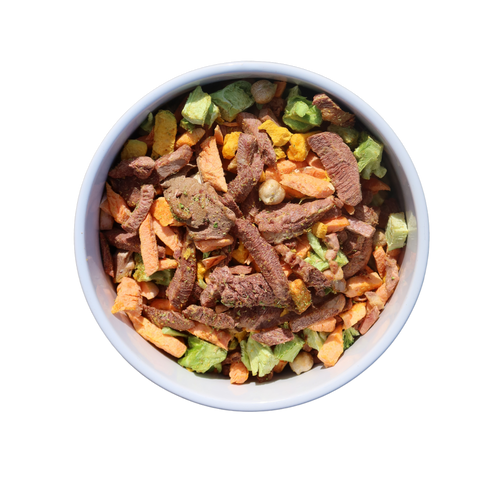 Premium grain-free, raw freeze-dried dog food with quality proteins. Shop NZ wide shipping. 