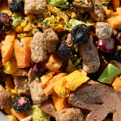 Premium grain-free, raw freeze-dried dog food with quality proteins. Shop NZ wide shipping. 