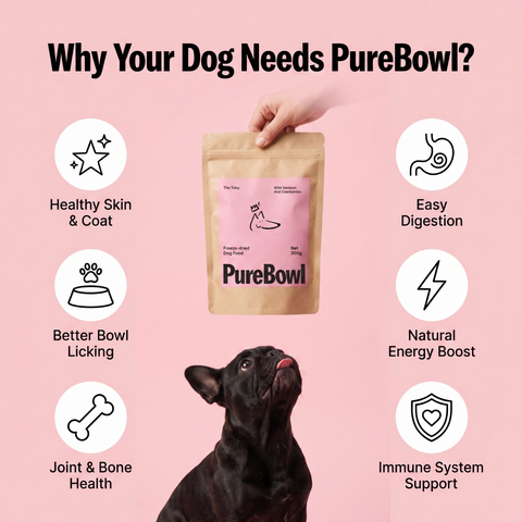 Purebowl Starter Pack